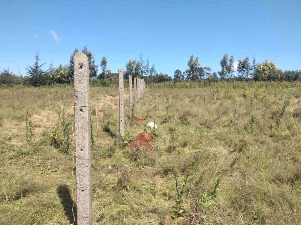 chain link fencing company