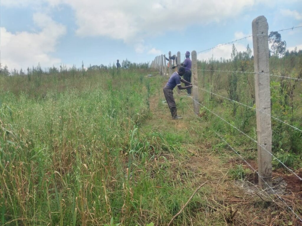 chain link fencing company