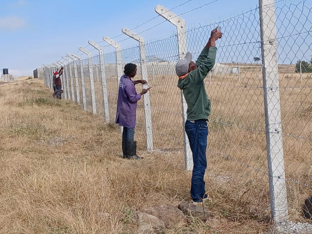 chain link fencing company
