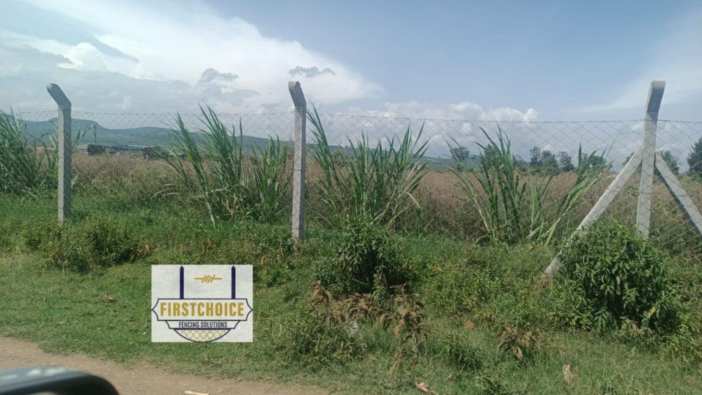Best fencing company in Kenya