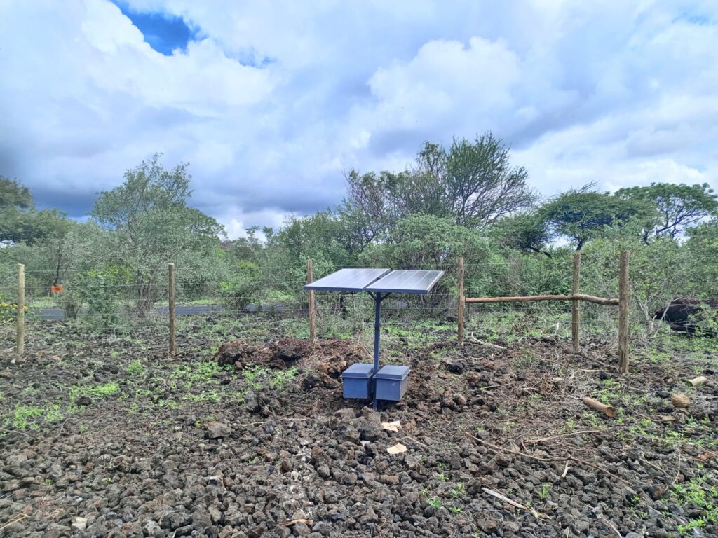Electric fencing