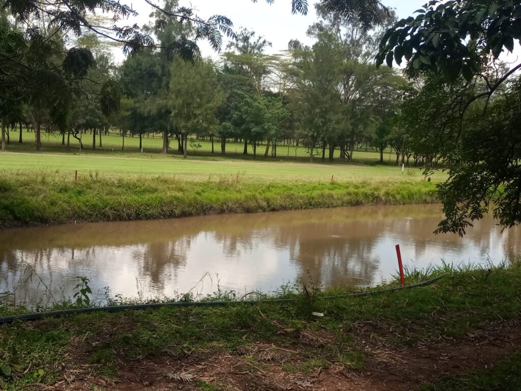 Best fencing company in Kenya