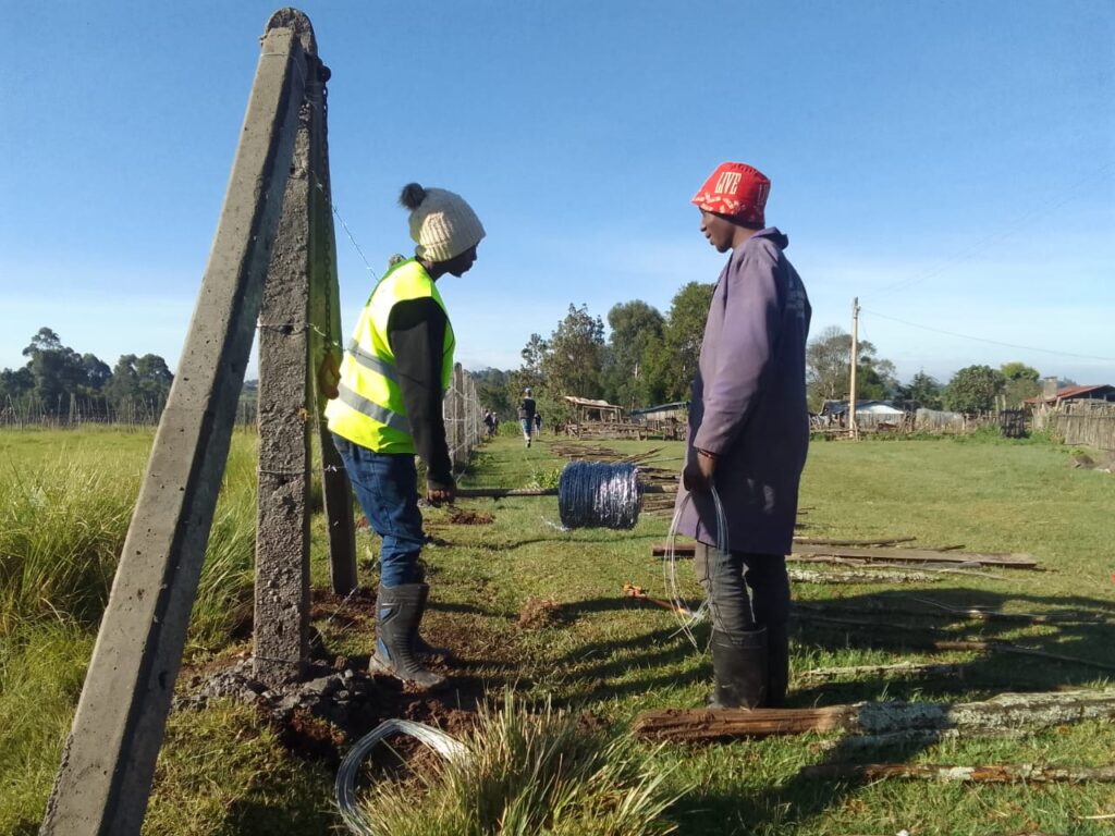 Professional Chain-Link Fencing