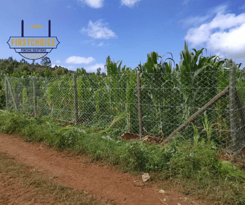 Treated Timber Post Wire Fence