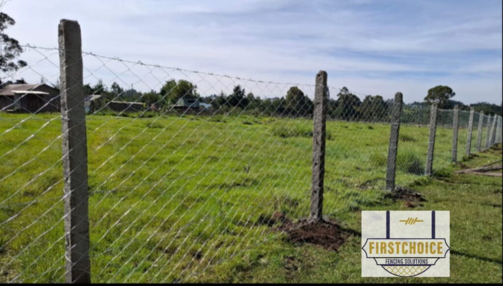Chain Link Fences in Nairobi