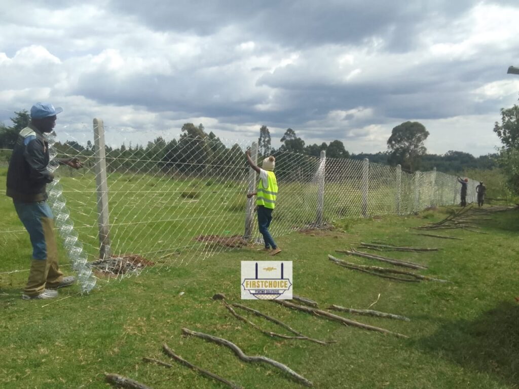 Affordable Fencing in Kenya