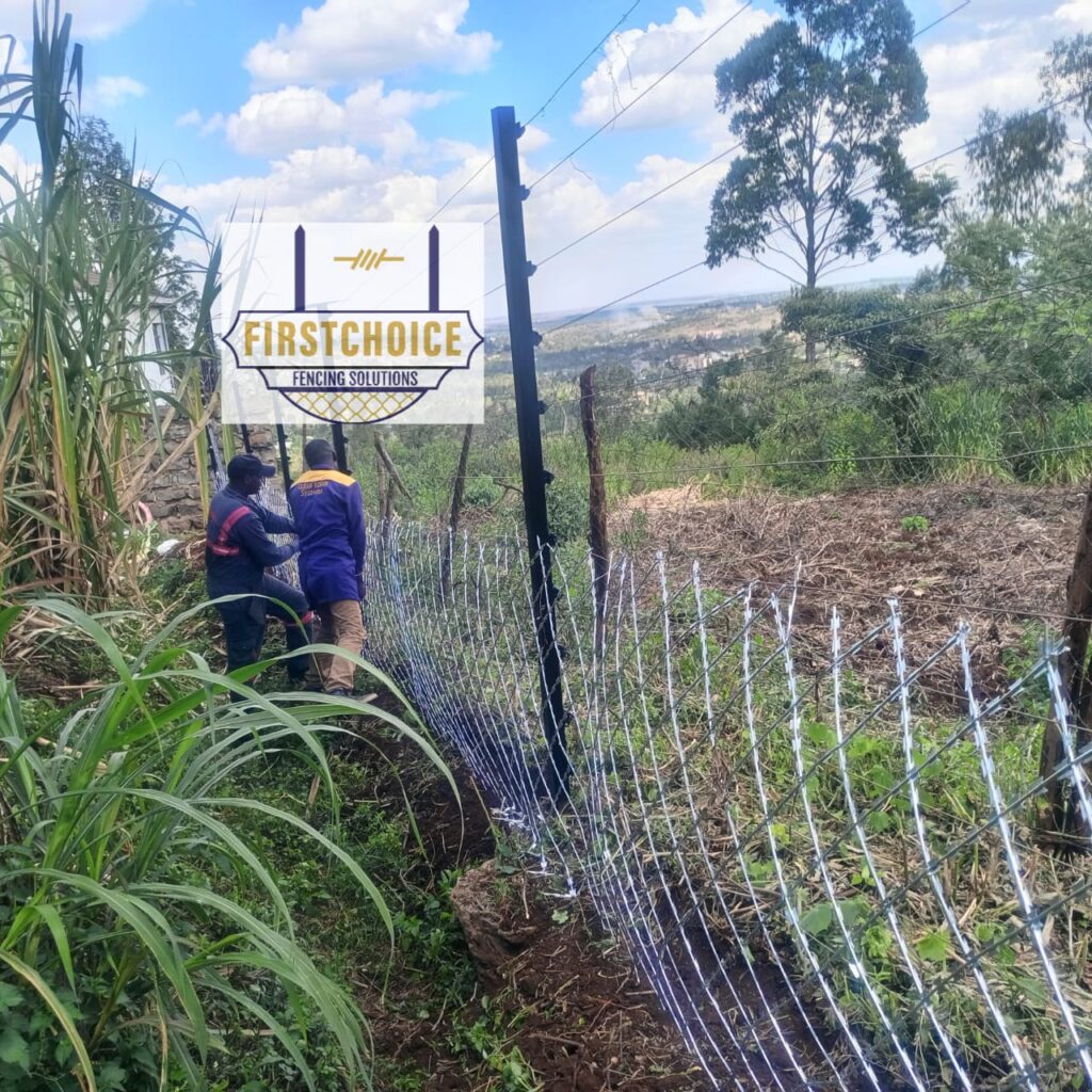 fencing companies near me