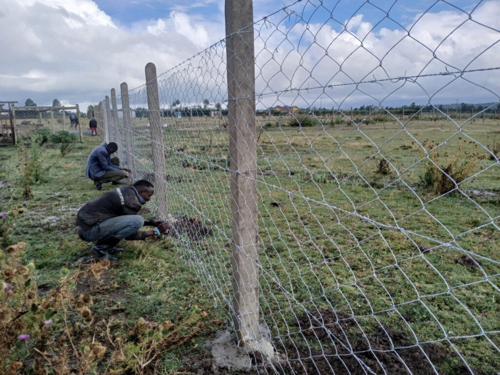 Chain Link Fencing
