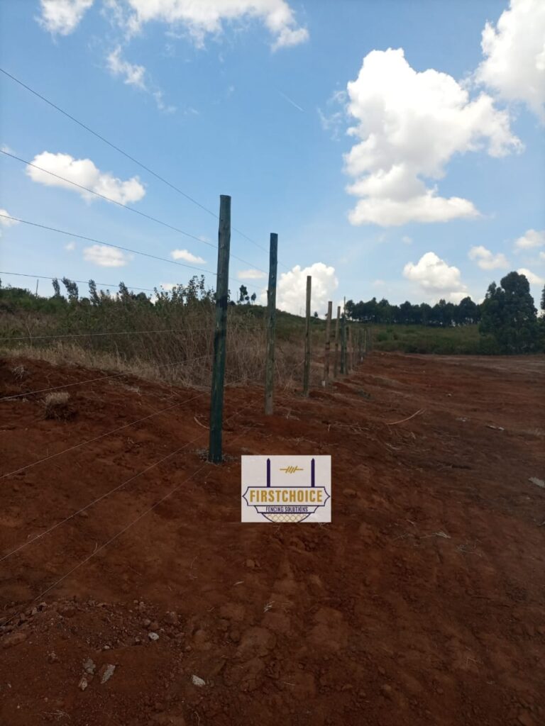 Game Fencing in Kenya