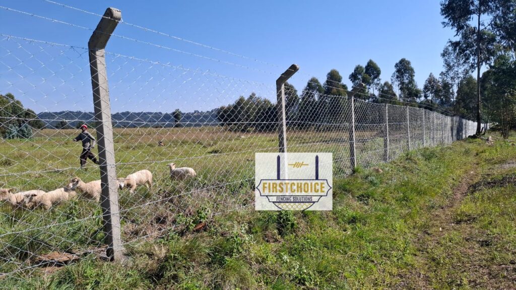 Professional Chain Link Fencing