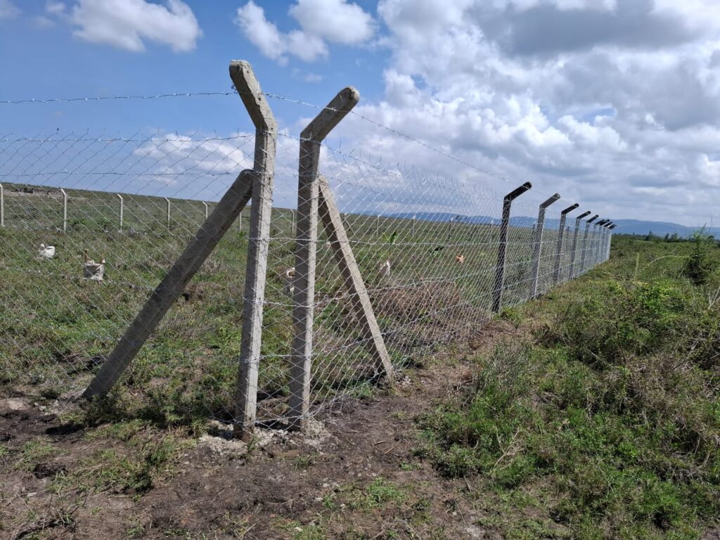 Chain Link Fencing Solutions