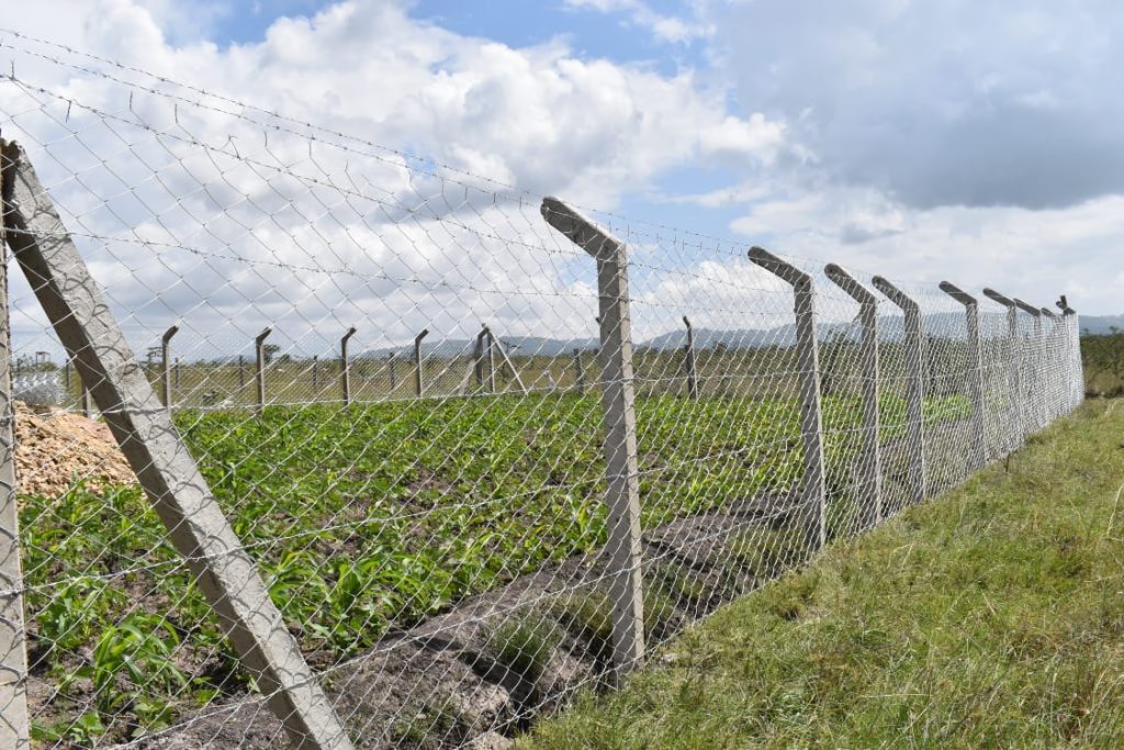 Concrete Post Chain Link Fence