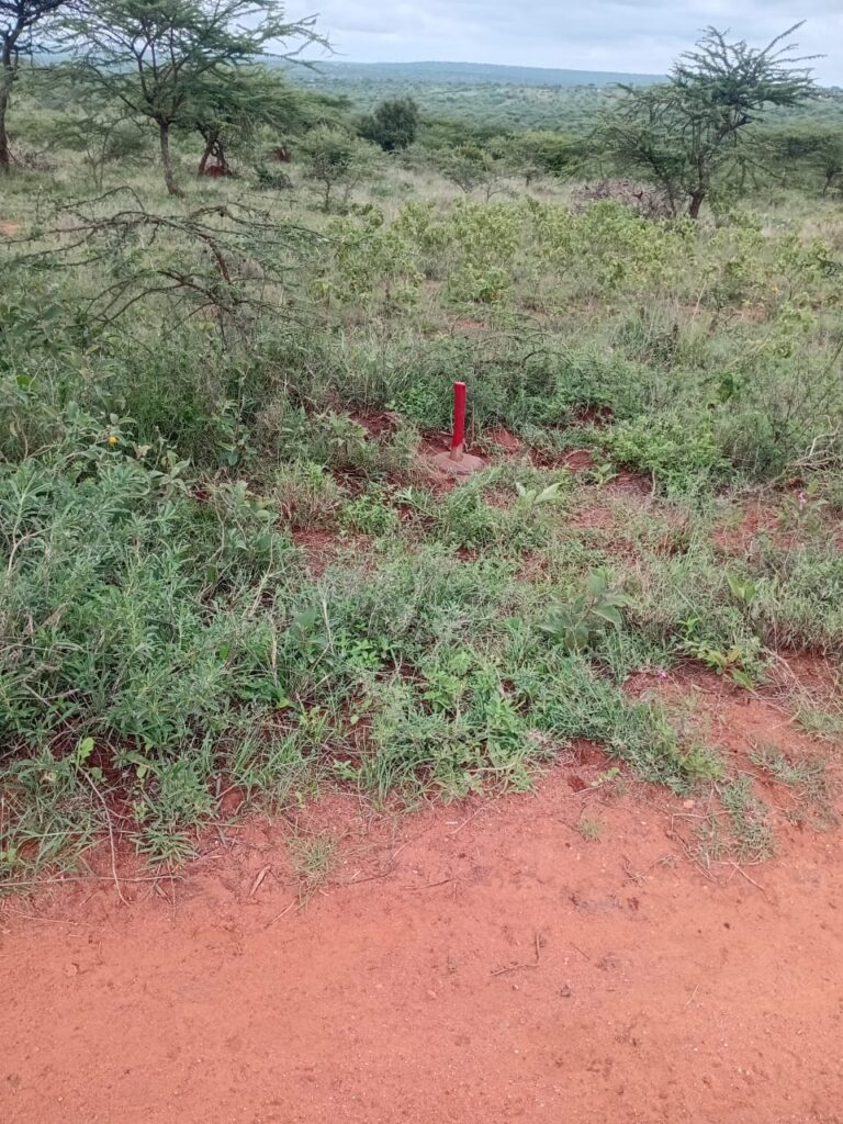 Fencing Site Surveys Before Fencing