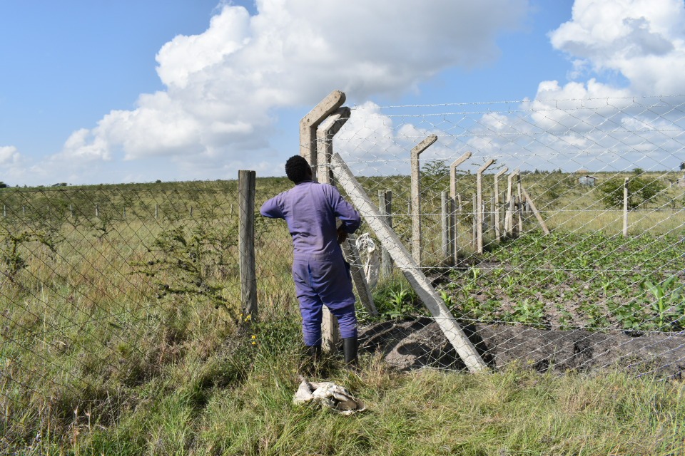 Types of fencing in kenya and prices