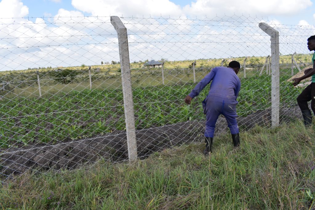 Fencing companies in Kenya