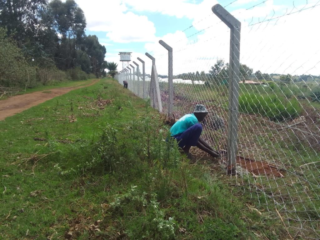 Nature Inspired Fencing