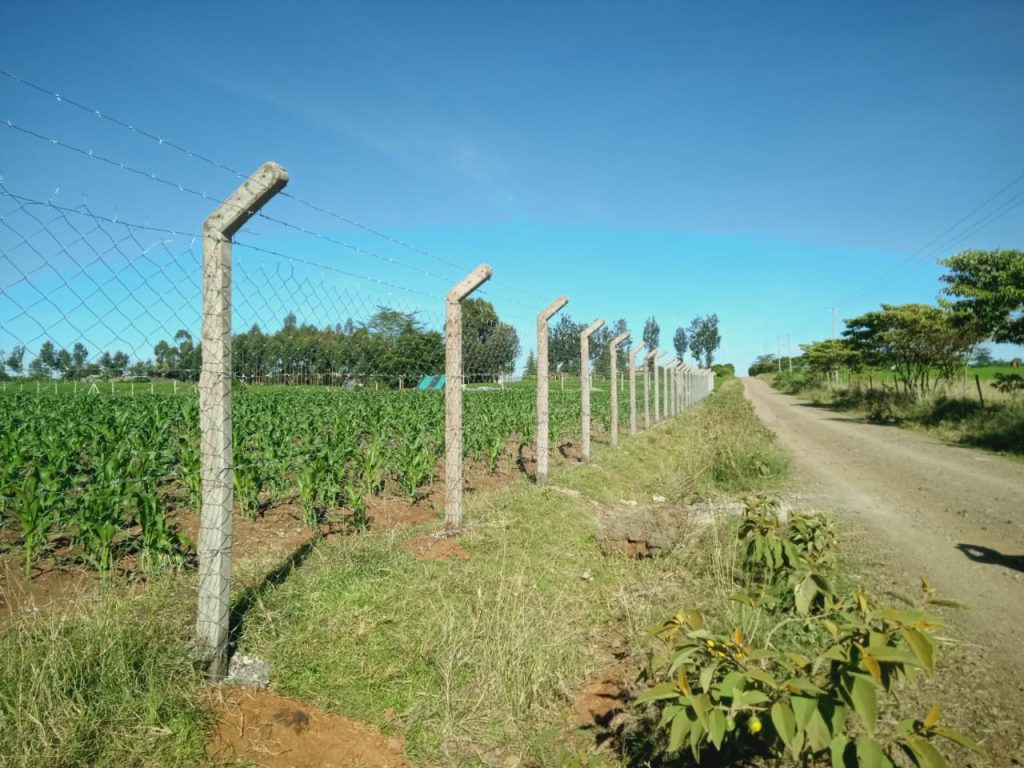 Fencing Solutions in Kenya