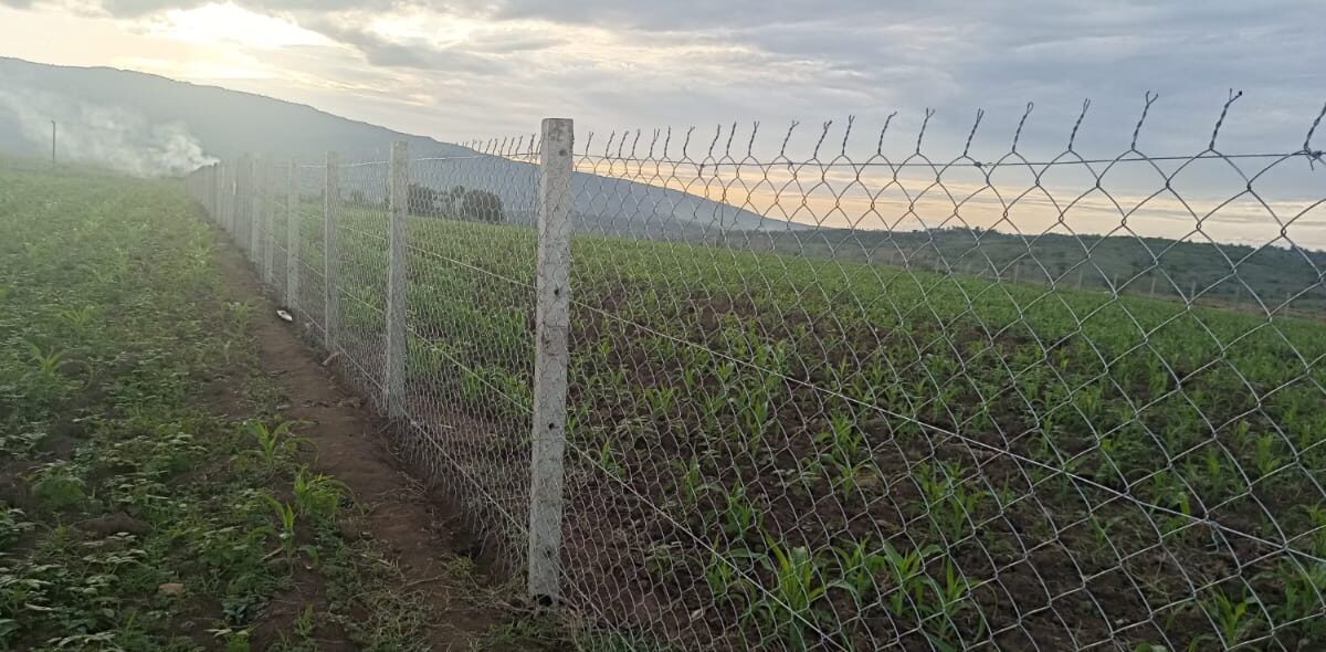 Long 8 ft Concrete Post Chain Link wire fencing 2 Acre land in Kenya