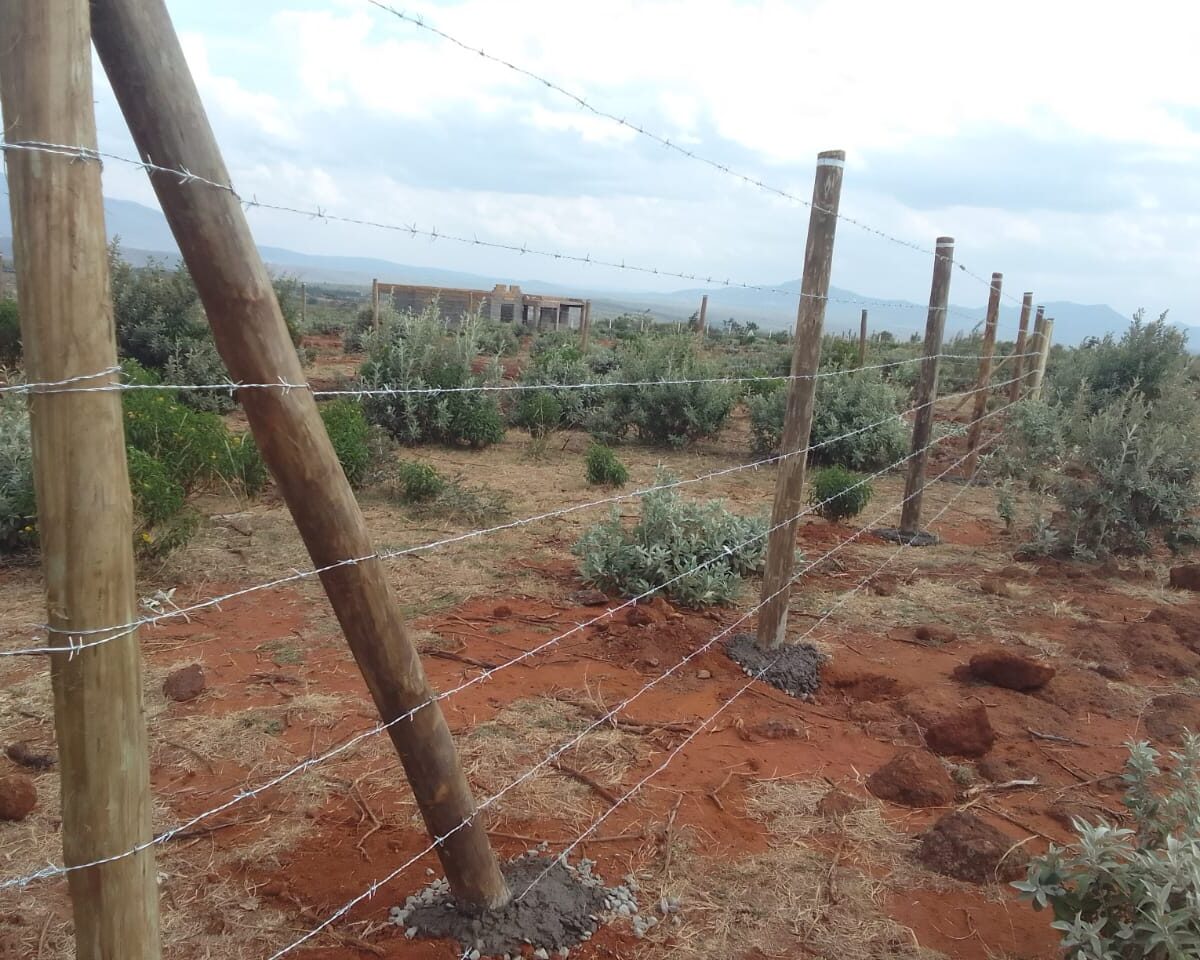 Long 8ft Treated Timber post Barbed wire fencing a 50 by 100 plot in Kenya