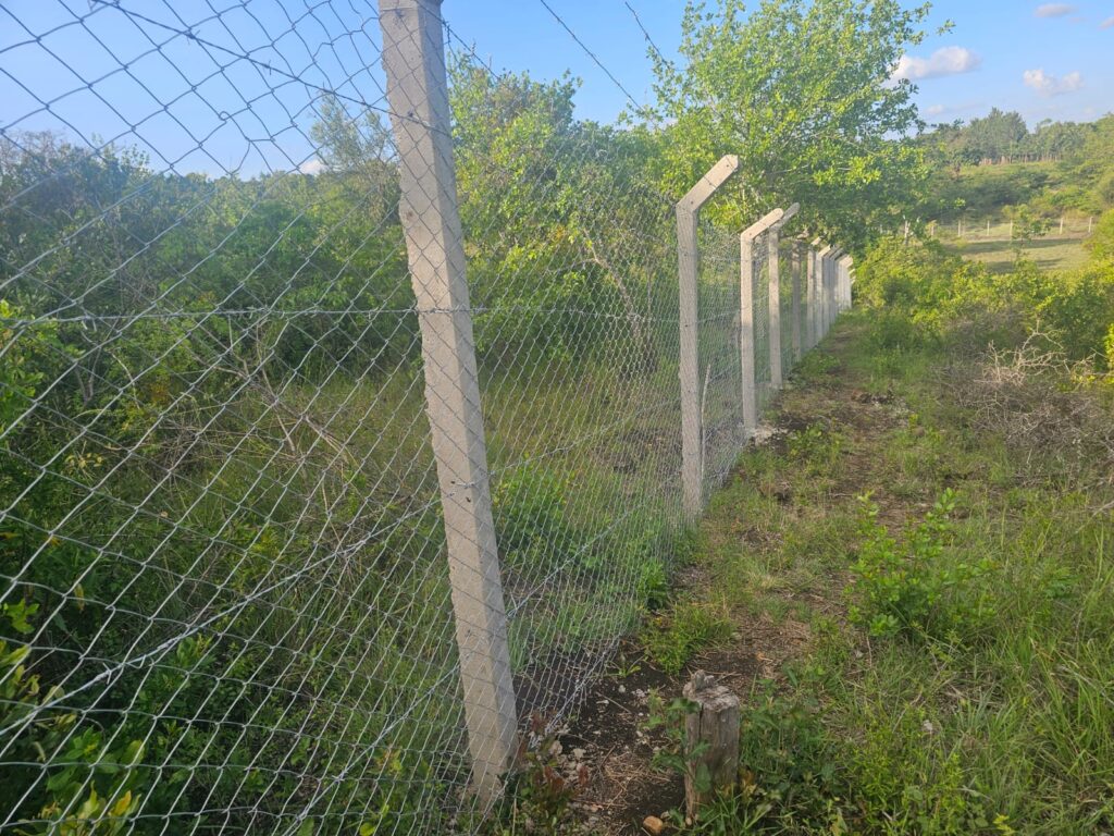Best Fencing Options