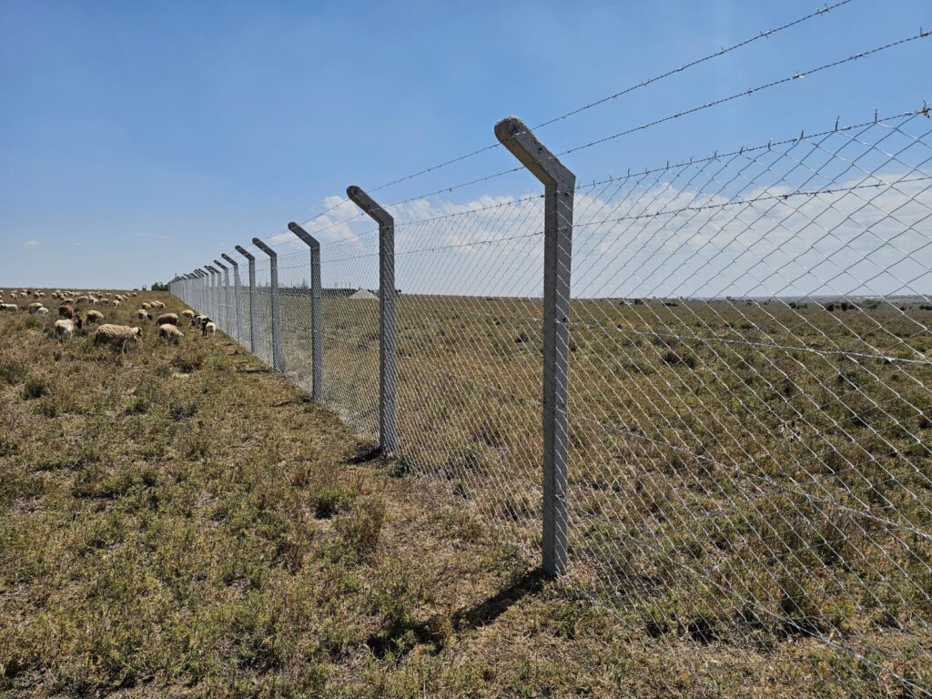 Chain Link Fence Solutions in Kenya