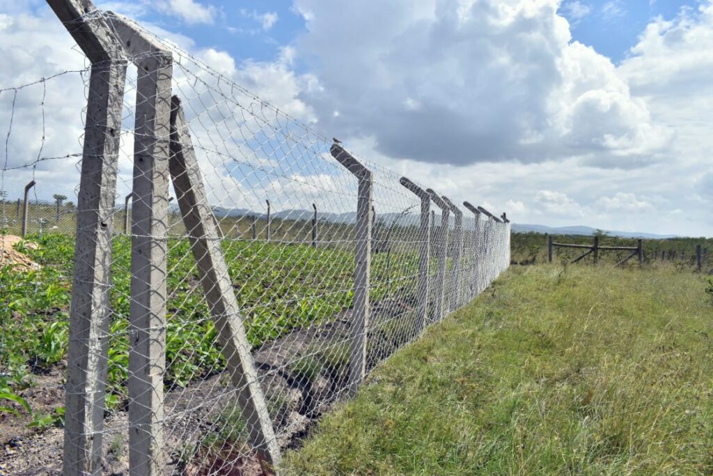 Concrete & Chain Link Fencing Services in Kenya