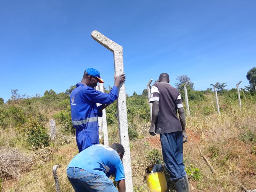 Expert technicians precisely aligning durable concrete fence posts for a secure agricultural boundary.