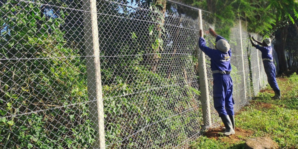 Cost of Fencing a 100 by 100 Plot in Kenya
