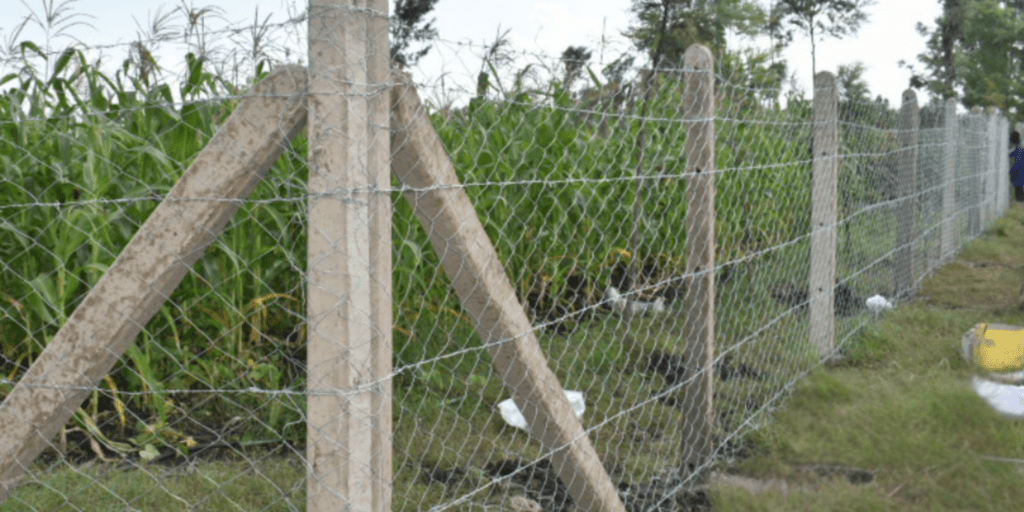 Cost of Fencing a 50 by 100 Plot in Kenya